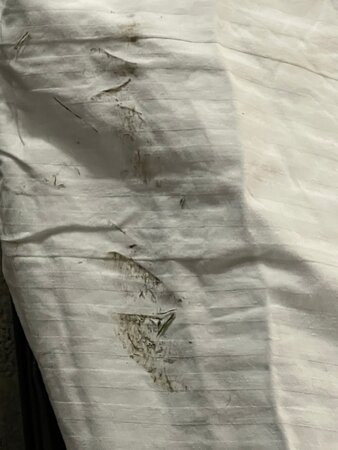 Best Western Plus Lee's Summit Hotel & Suites主图