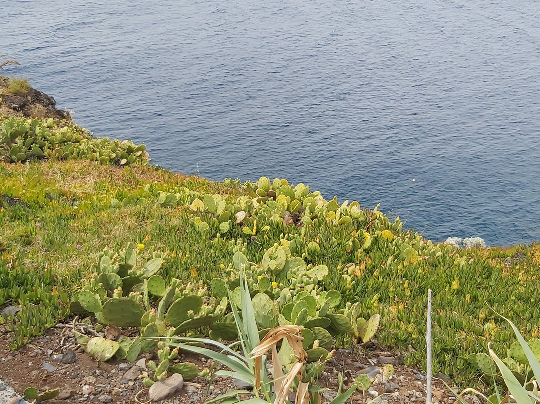 Garajau Partial Nature Reserve-Canico必去景点