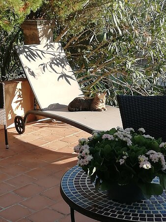 Finca Son Jorbo主图