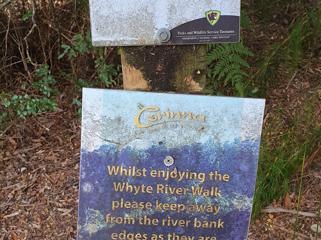 Whyte River Track-Corinna必去景点