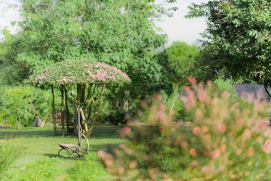 Birds Resort Hambantota主图