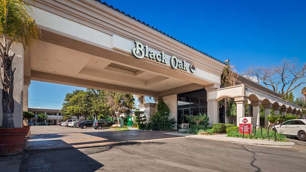 Best Western Plus Black Oak主图