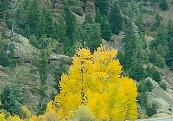 Shoshone National Forest-科迪必去景点