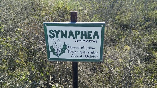 Badgingarra National Park-Badgingarra必去景点