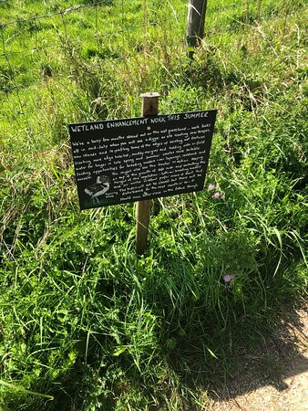 Pulborough Brooks RSPB景点图片