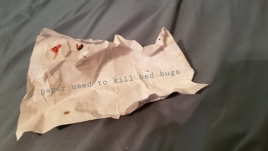 Dauphin Island Harbor House主图