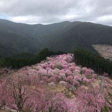 Takaminosato景点图片