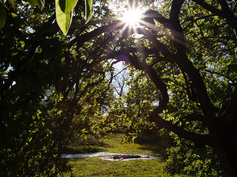 Akasha Retreat Center