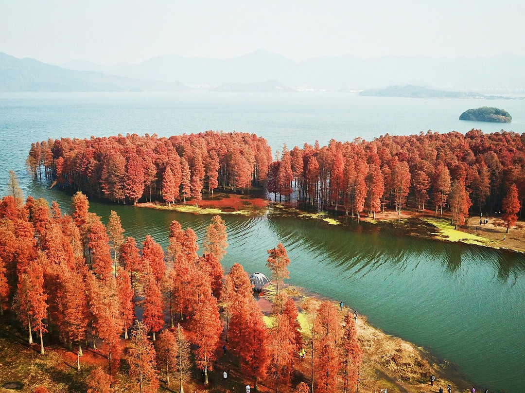 余姚旅游攻略图片