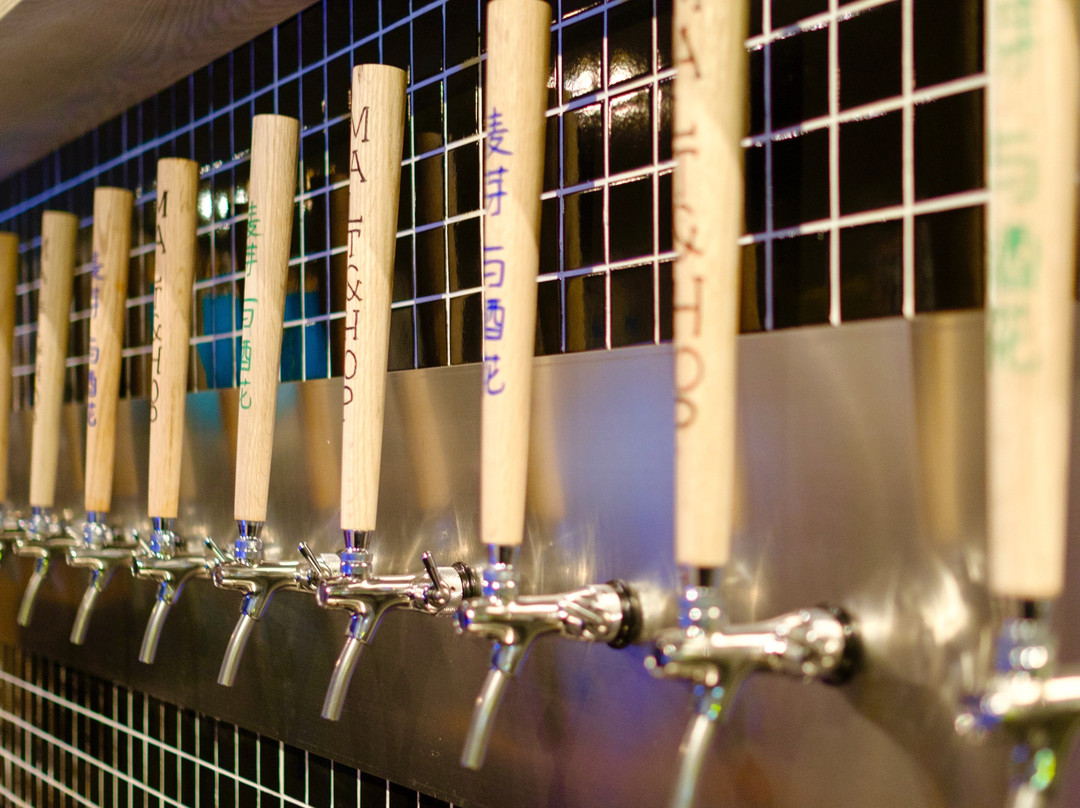 麦芽与酒花精酿啤酒