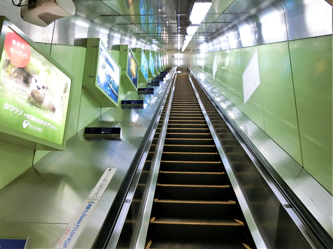 Enoshima旅游景点-Enoshima Escalator