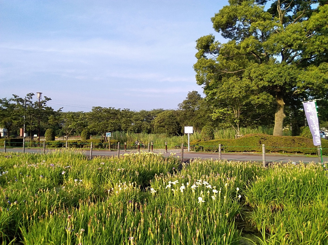 Soneshiro Park景点图片