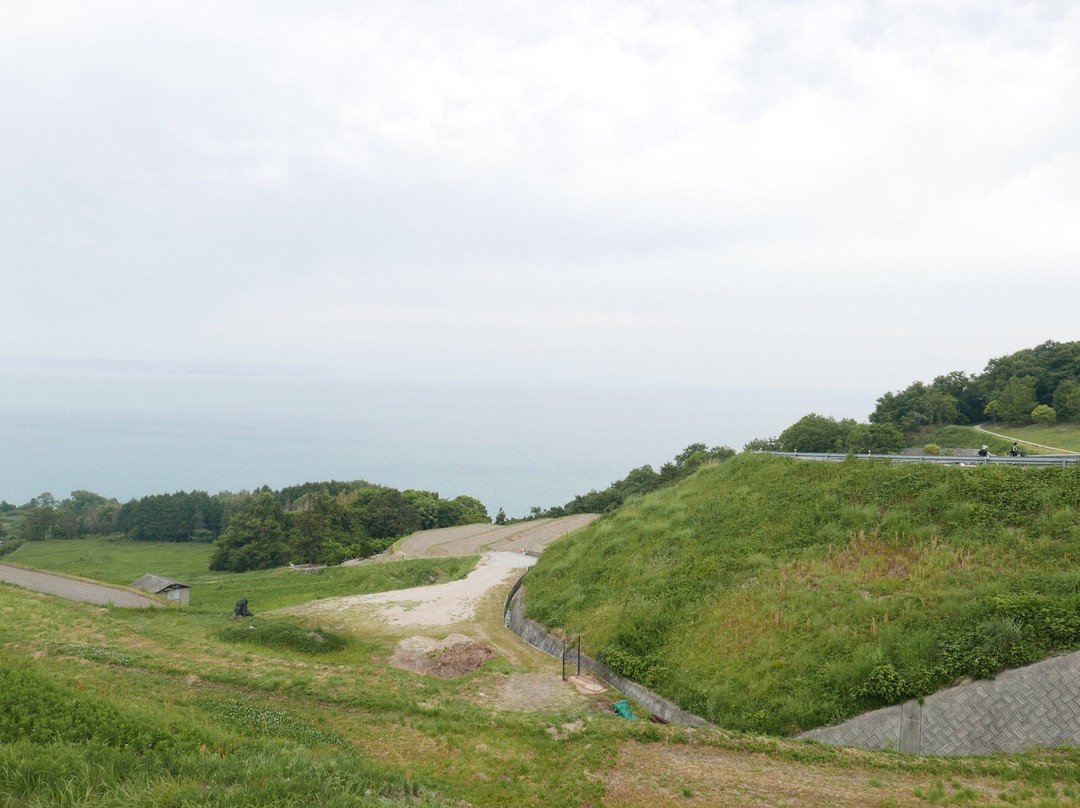 Teshima Terraced Rice Field Project景点图片