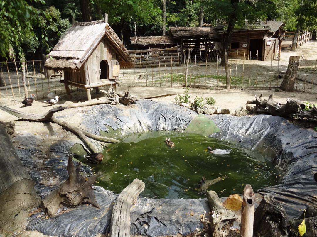 Balatonszentgyorgy旅游攻略图片