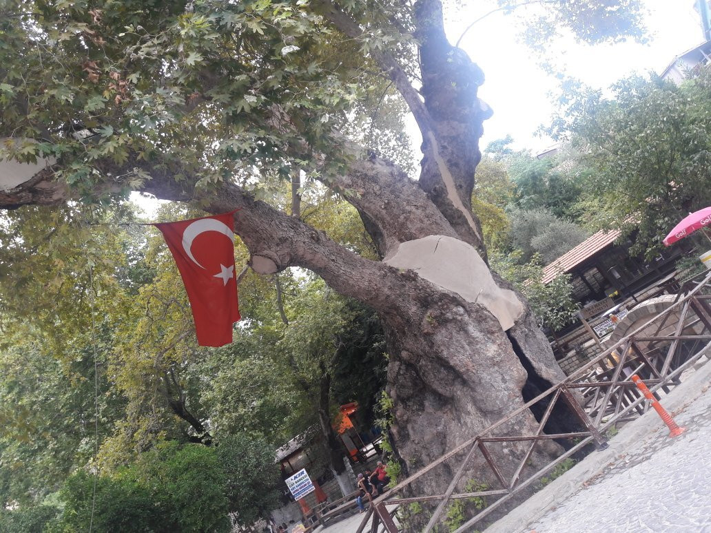 Hidirbey Musa Agaci景点图片