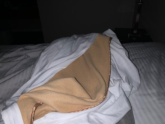 Best Western Heritage Inn主图