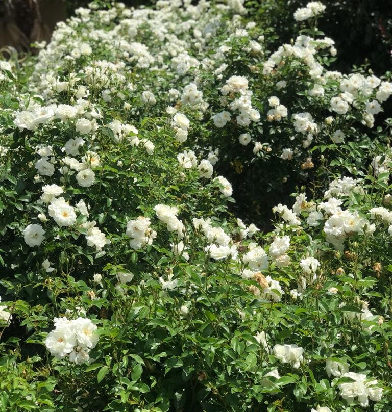 Botleng Guest House主图