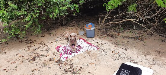 Praia do Costa-乌巴图巴必去景点
