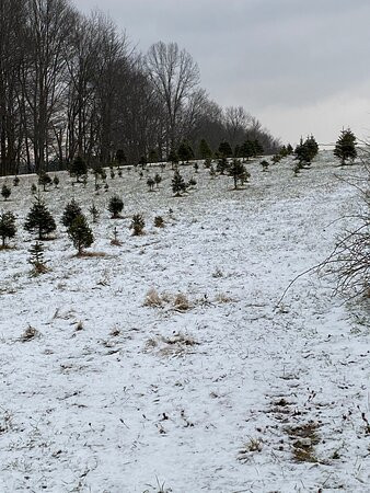 Tree Farm Trail-Peninsula必去景点