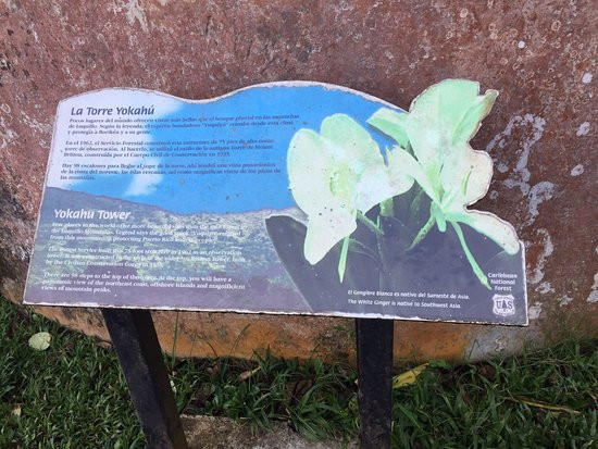 Yokahu Tower-Rio Grande必去景点