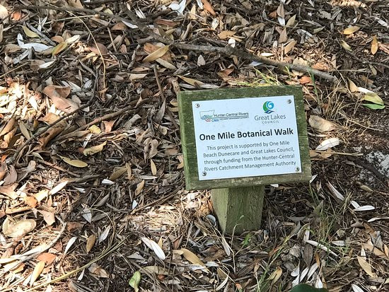 John Ward Rainforest Walk-福斯特必去景点