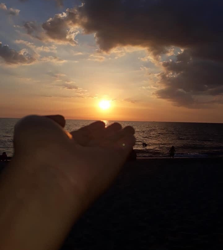 金色郁金香度假村主图