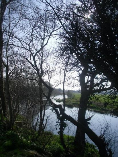 Clane旅游景点-Liffey Walk