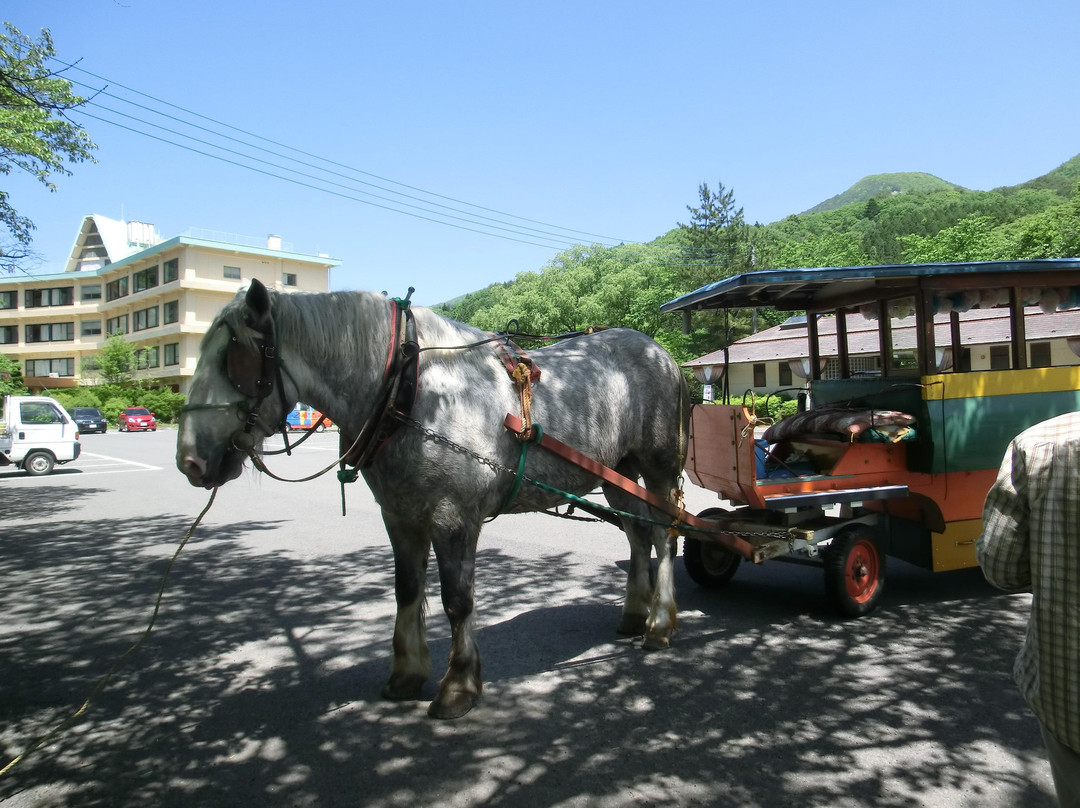 Shiobara Onsen-那须盐原市必去景点