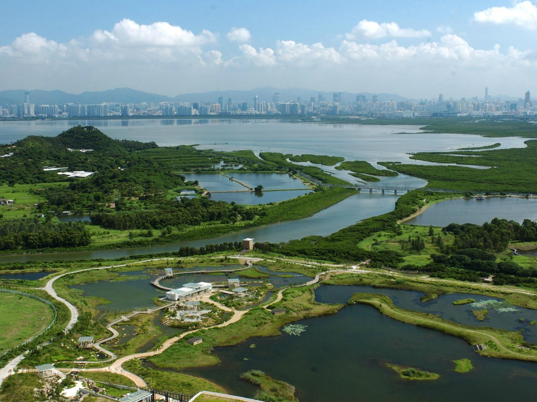 香港湿地公园景点图片