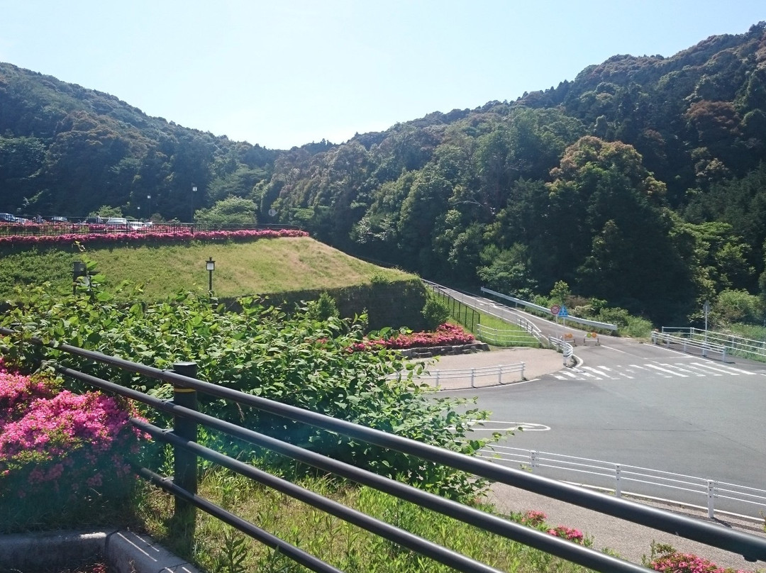 Higashi-mikawa Furusato Park景点图片