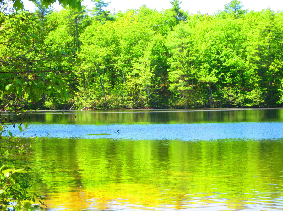 Range Ponds State park景点图片