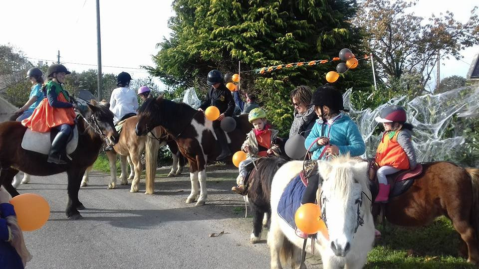 Centre Equestre du Fano景点图片