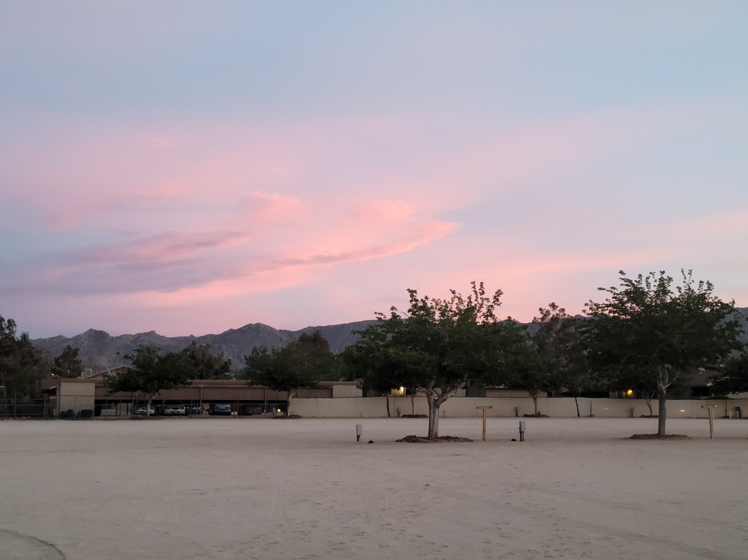 Joshua Tree RV & Campground