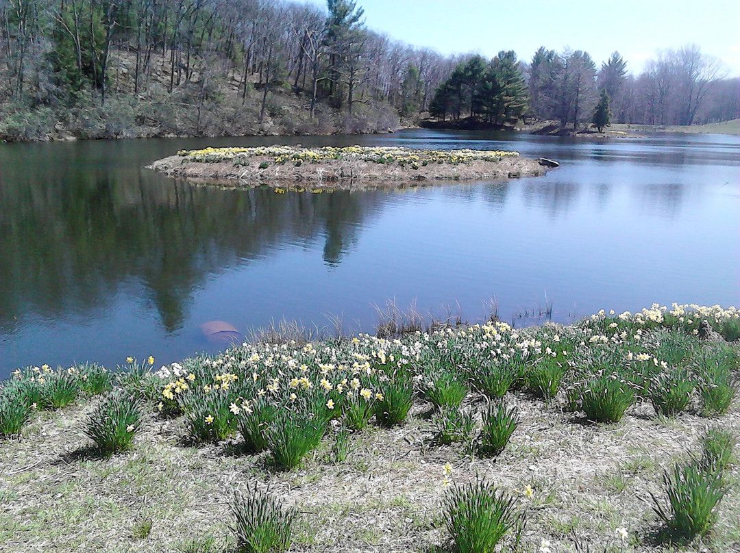 Laurel Ridge Farm景点图片