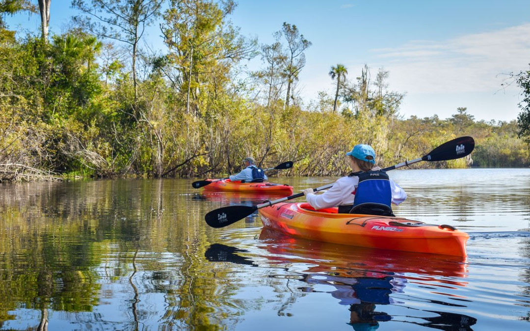Everglades Adventures Kayak & Eco Tours-大沼泽地必去景点