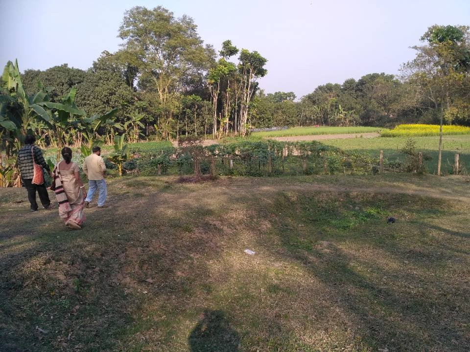 Chandraketu's Fort景点图片