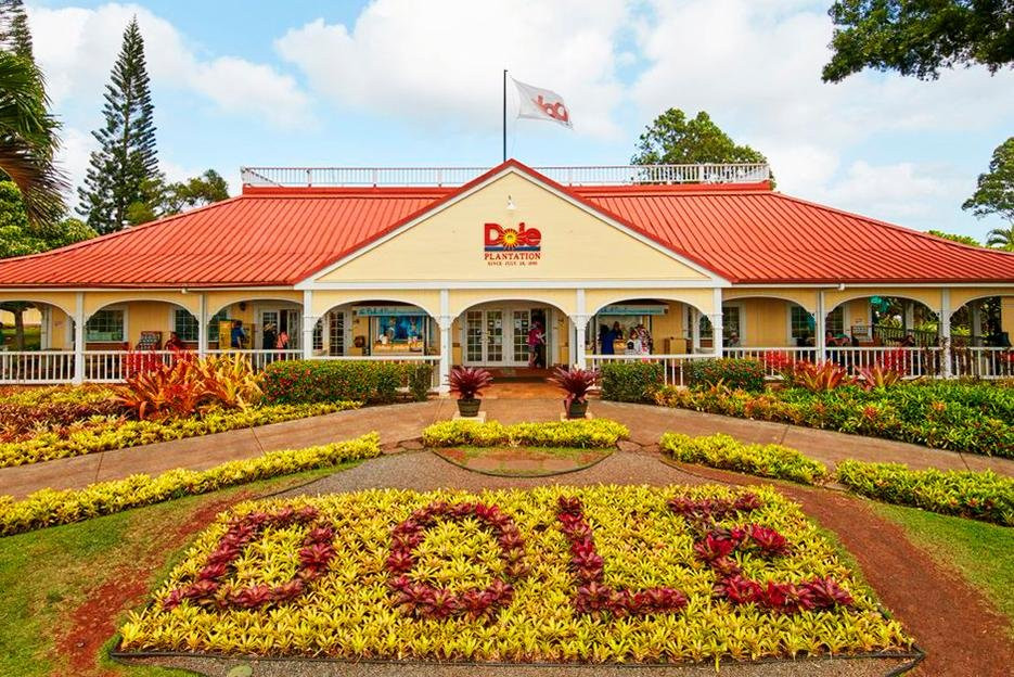 Oahu Circle Island Snorkeling & Tours