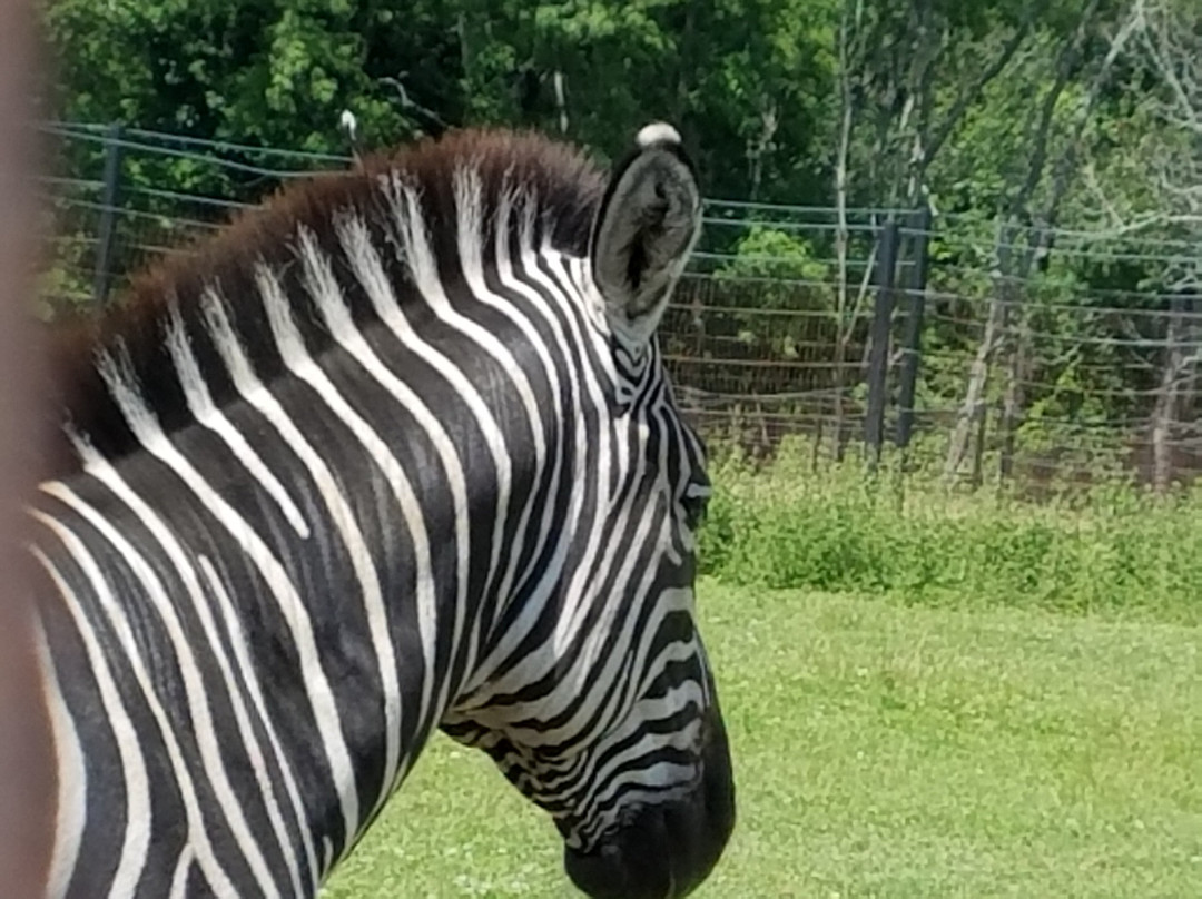 Goshen旅游景点-Action Wildlife Foundation