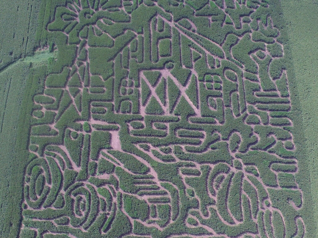 Big Springs Farm Pumpkins & Corn Maze, LLC.景点图片