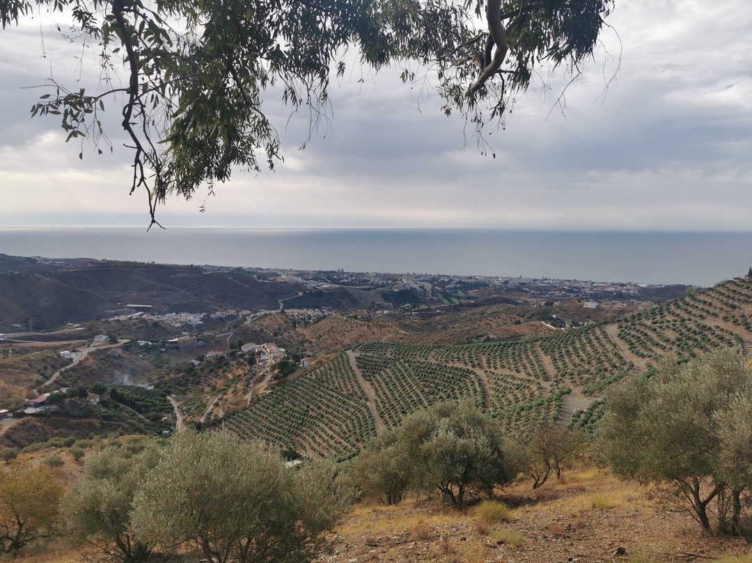 Ruta Circular: Rincón De La Victoria, Cerro Tio Cañas y Río Benagalbón.景点图片