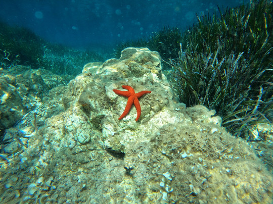 Seaty - Aree di Conservazione Marina Locale-Golfo Aranci必去景点