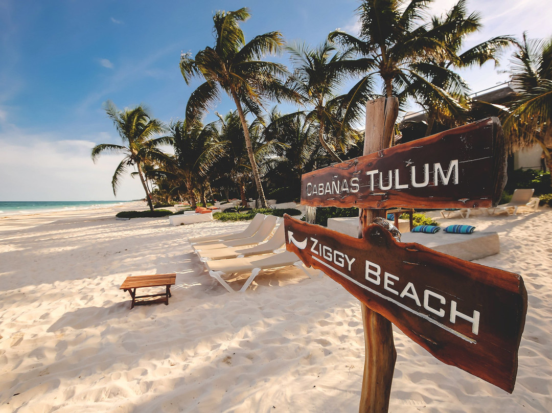 图卢姆小屋主图