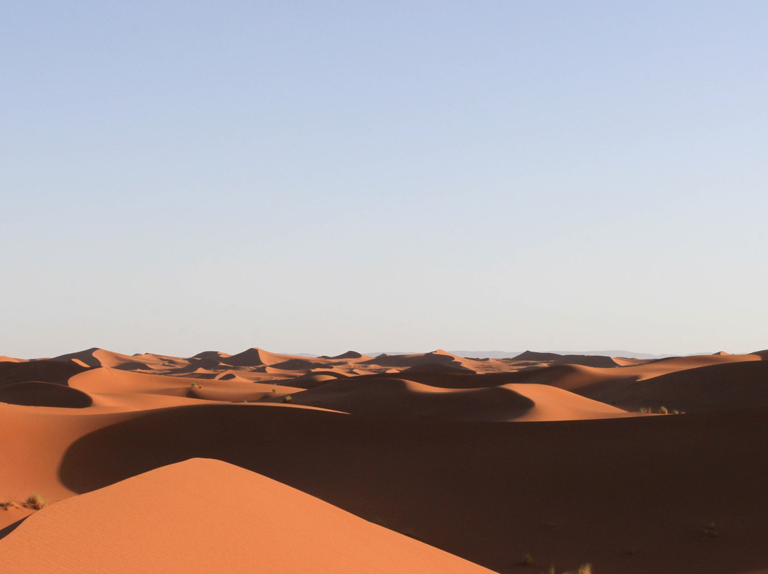 Desert Tour景点图片