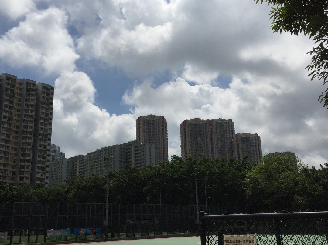 迪高餐室