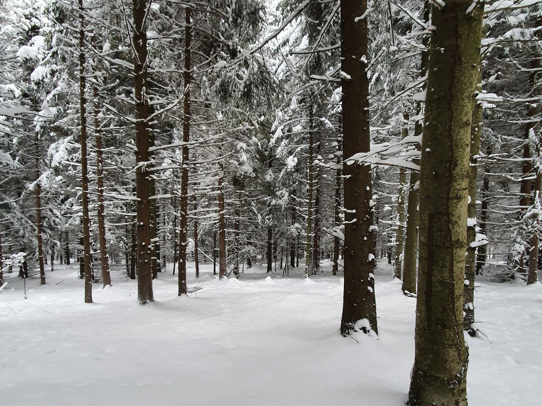 Beskidzki Raj Hotel主图