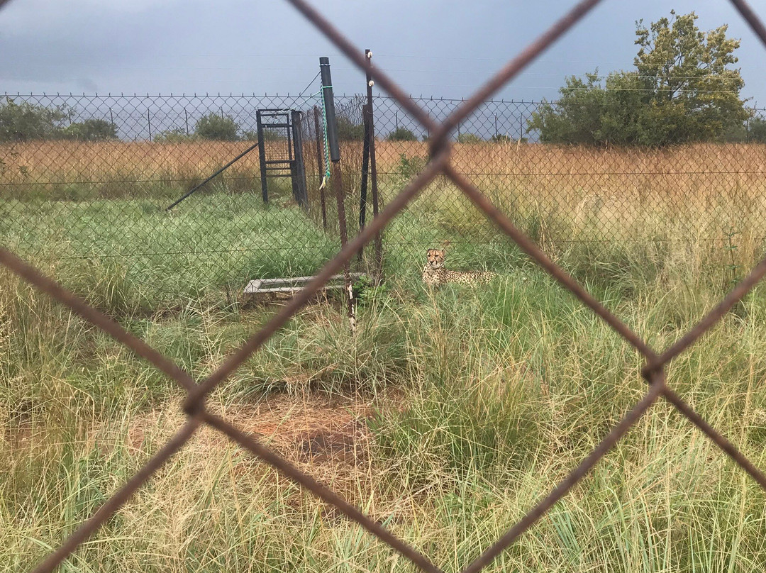 四方花园宾馆主图