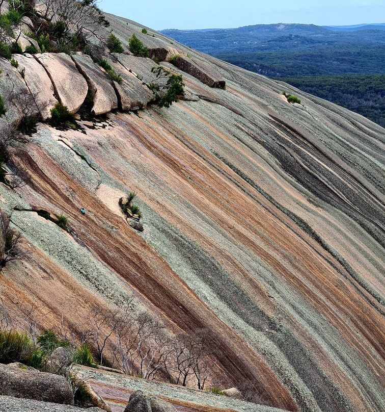 Bald Rock National Park景点图片