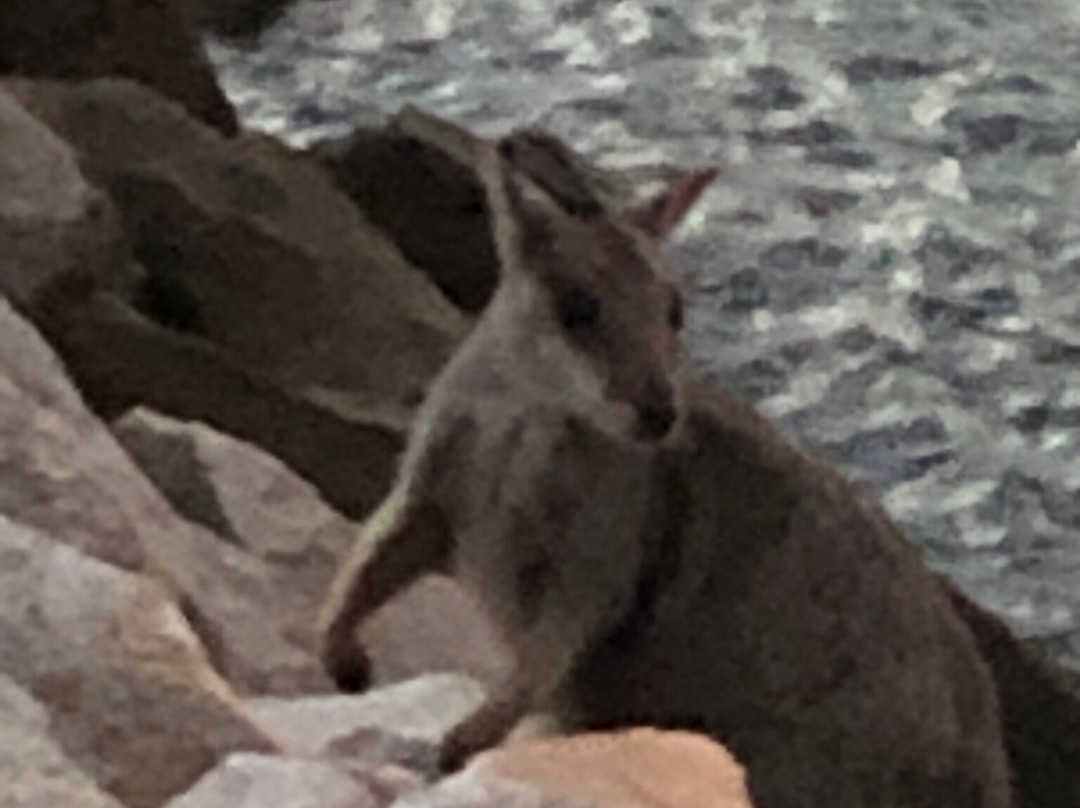 Magnetic Island National Park-Magnetic Island必去景点