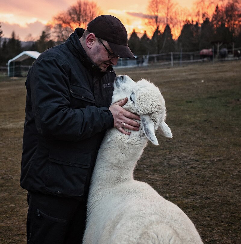 GAW Graceland Alpacas Wehrsdorf景点图片
