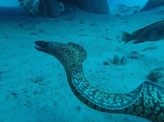 Adalya Diving Center-卡斯必去景点